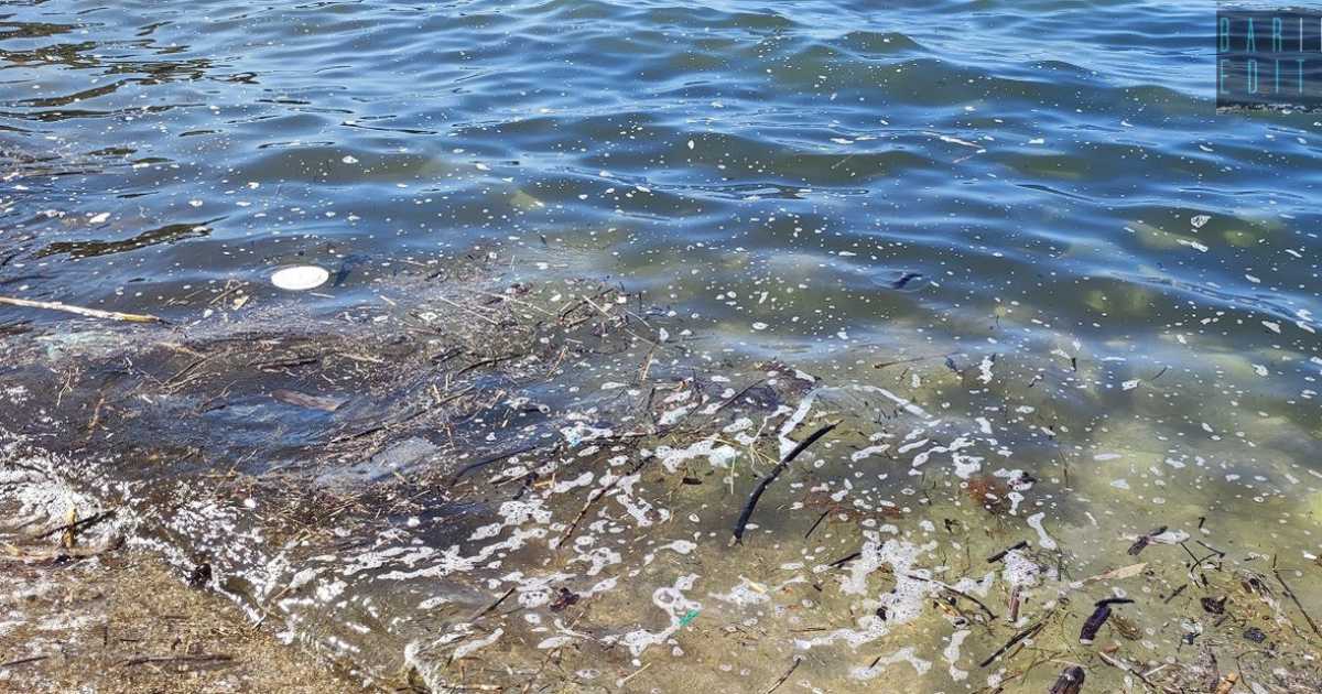 Schiuma, bolle e rifiuti: il mare barese, d'estate, si sporca sempre. Ecco il motivo